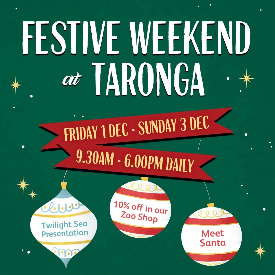 Festive Weekend at Taronga 