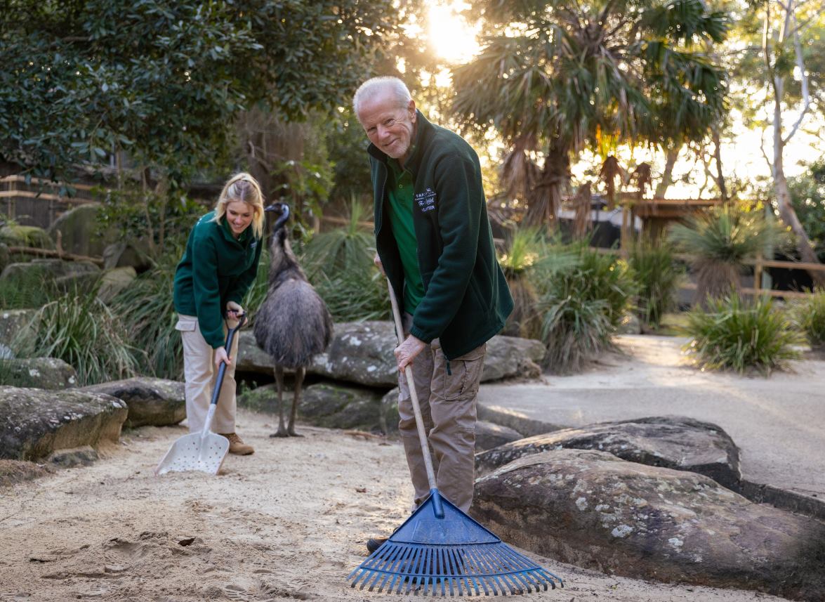 Zoo Keeper Volunteers