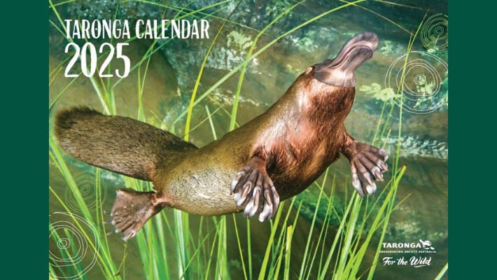 2025 Zoo Friends Calendar