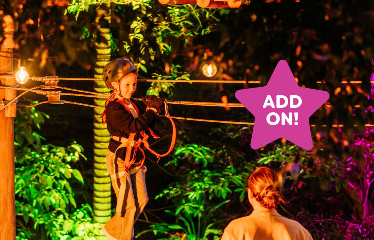 Wild Ropes After Dark
