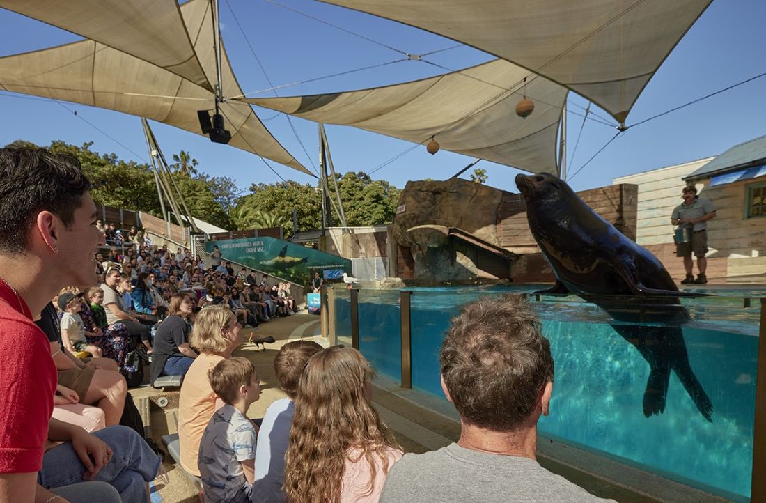 Seal Presentation