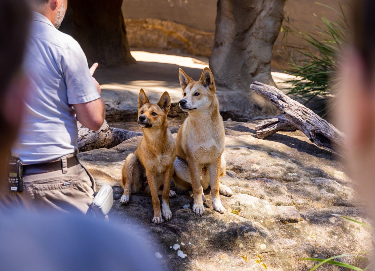 Learn about animals from all over the world 