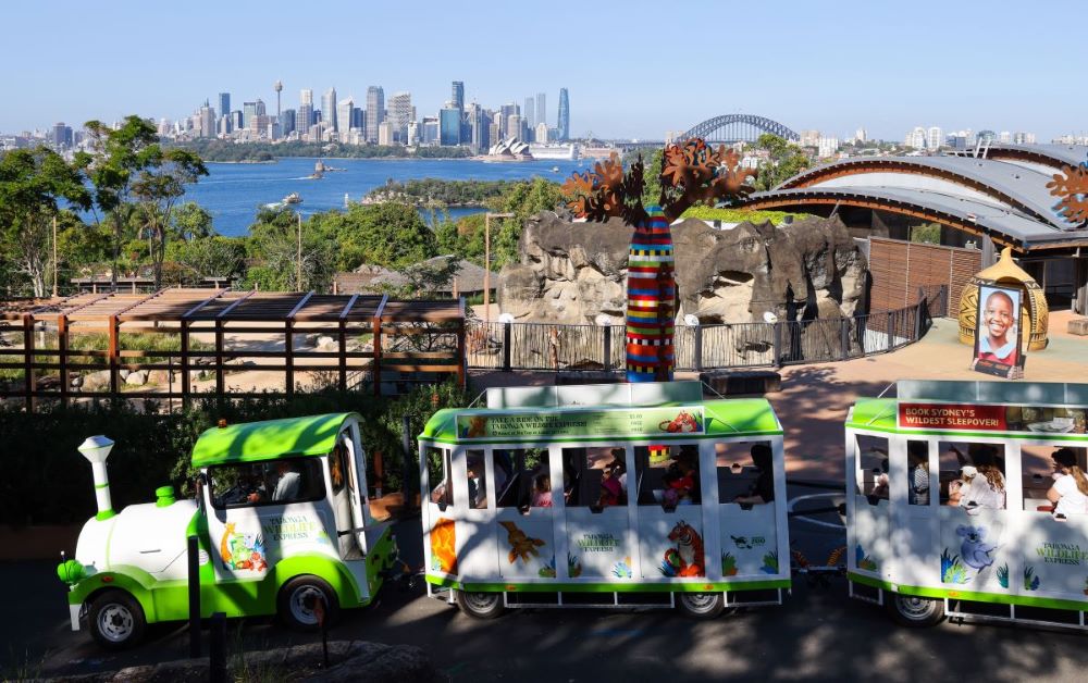 Wildlife Express