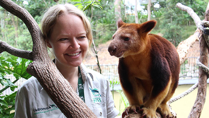 Keeper Nat Holdsworth with one of our Goodfellow's Tree Kangaroos.