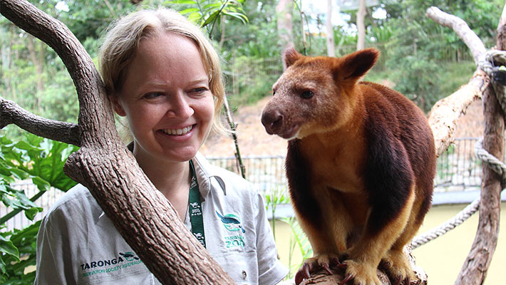 goodfellows tree kangaroo