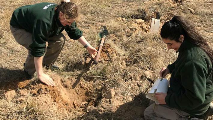 Bush Care Volunteers