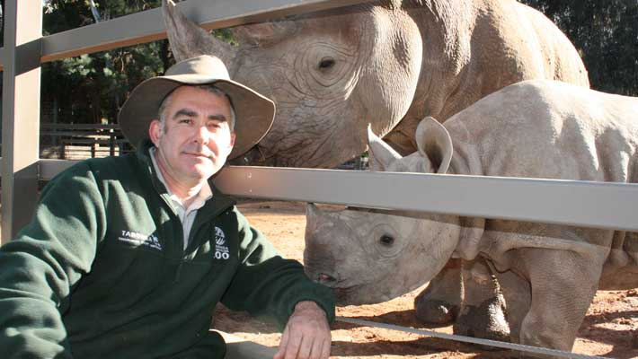 Dr. Benn Bryant with Black Rhinoceros at Taronga Western Plains Zoo, 2010