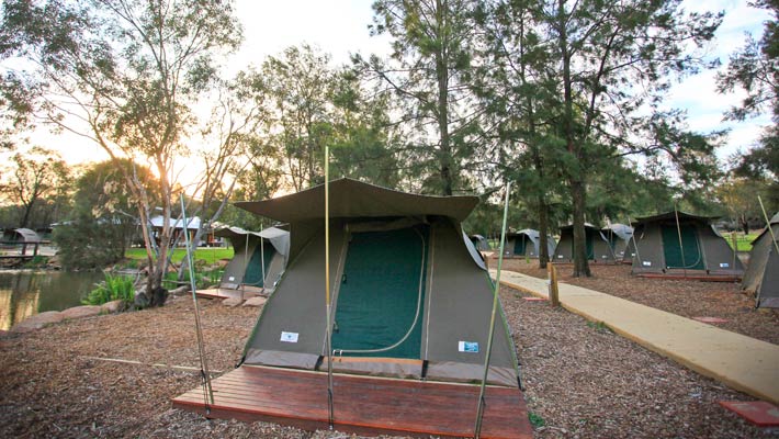 Tents are group in adjacent pairs, perfect for families