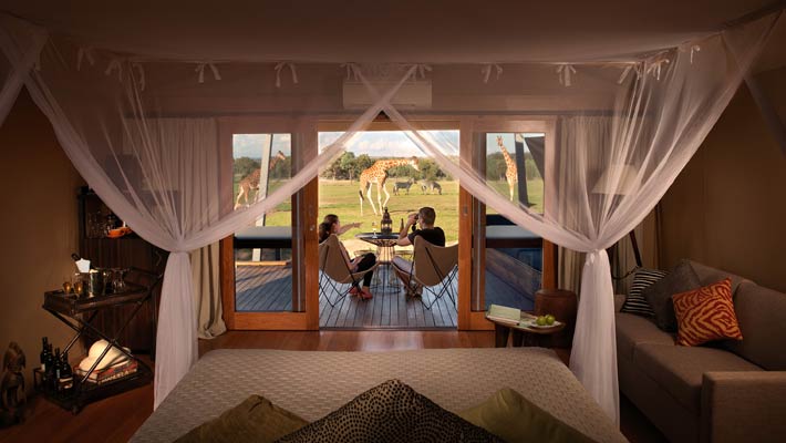 Spend the afternoon spotting wildlife from the comfort of your Lodge