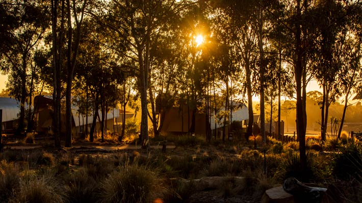 Animal View Lodges are nestled on the edge of the African savannah