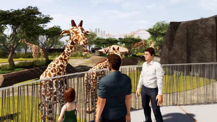 Giraffe will be returning to their new waterhole home.