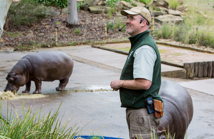 Hippopotamus Keeper talk