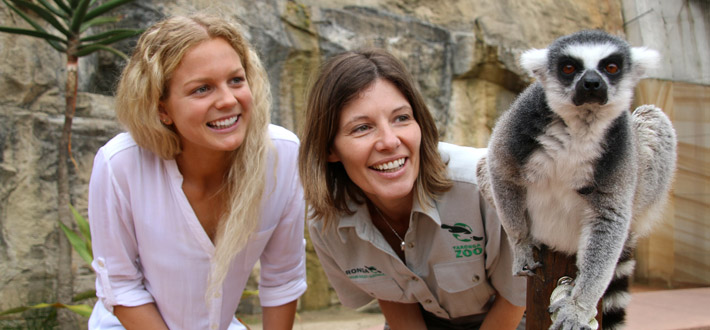 Teacher Professional Learning at Taronga