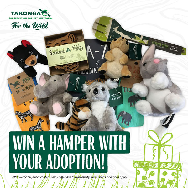 Zoo Parent hamper