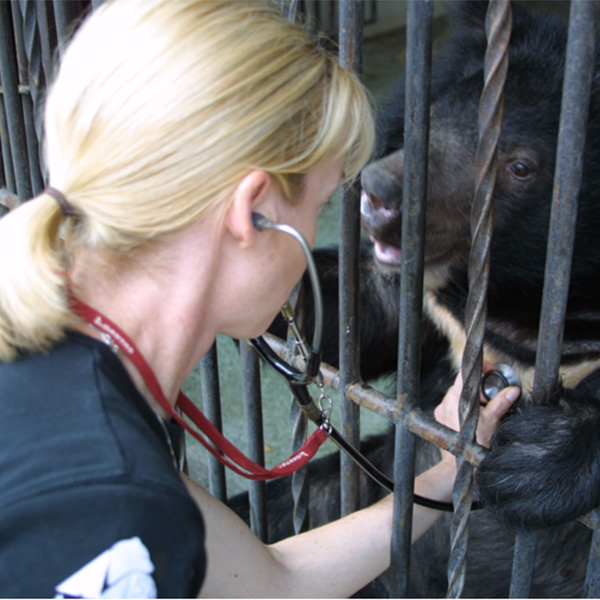 Shae Holden, Taronga Zoo - working at Animals Asia
