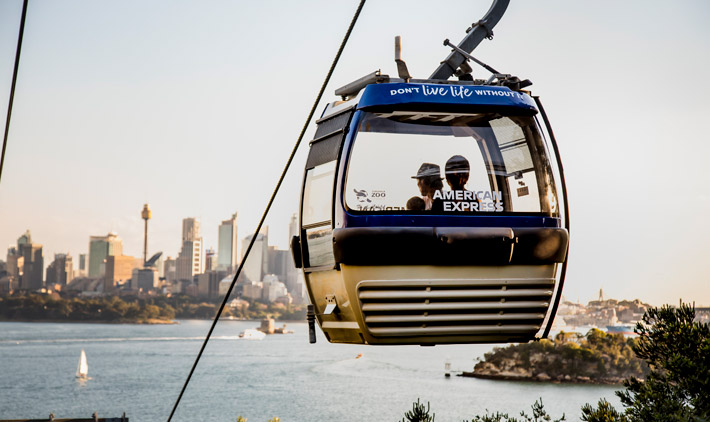 Sky Safari at Taronga Zoo Sydney