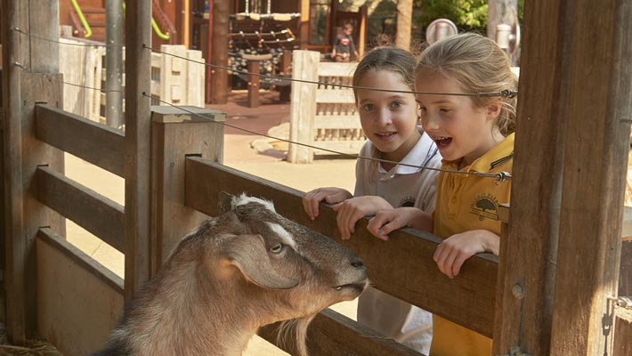 Explore our Zoos in your own way