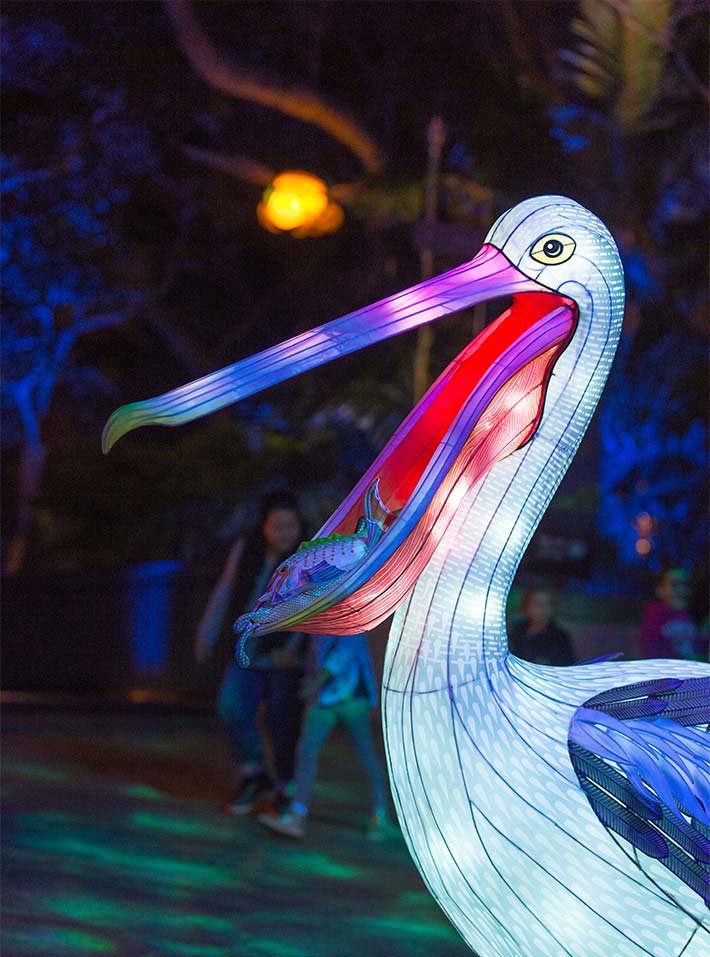 Vivid at Taronga Zoo Sydney. Photo: Jonathan Dear