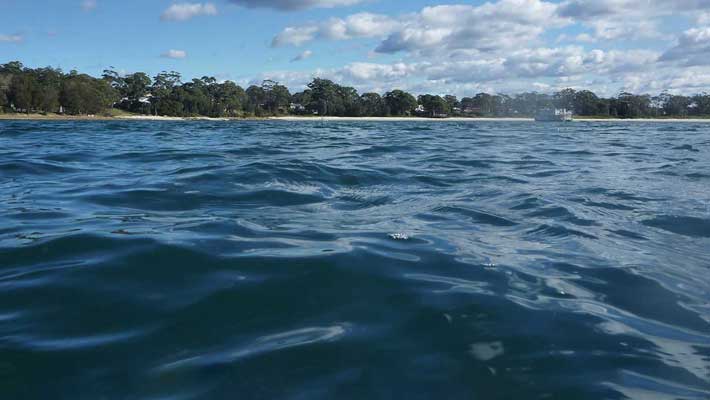 The investigation spans from Tasmania to Northern NSW
