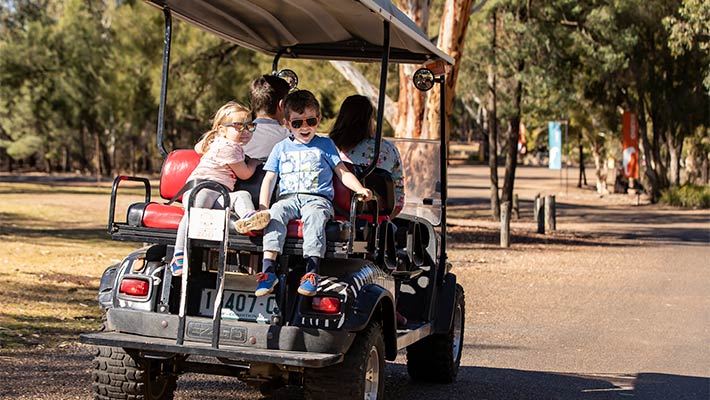 Bike and cart hire at the Zoo