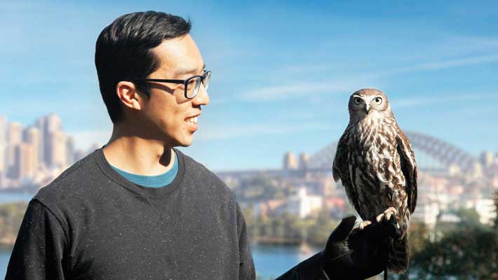 Get up close to Taronga's Barking Owl.