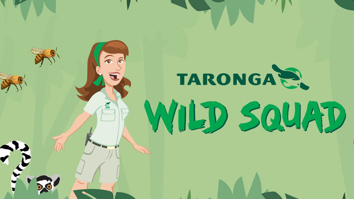 Join Wild Squad on your next visit