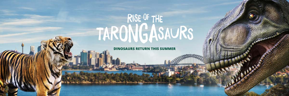 Rise of the Tarongasaurs