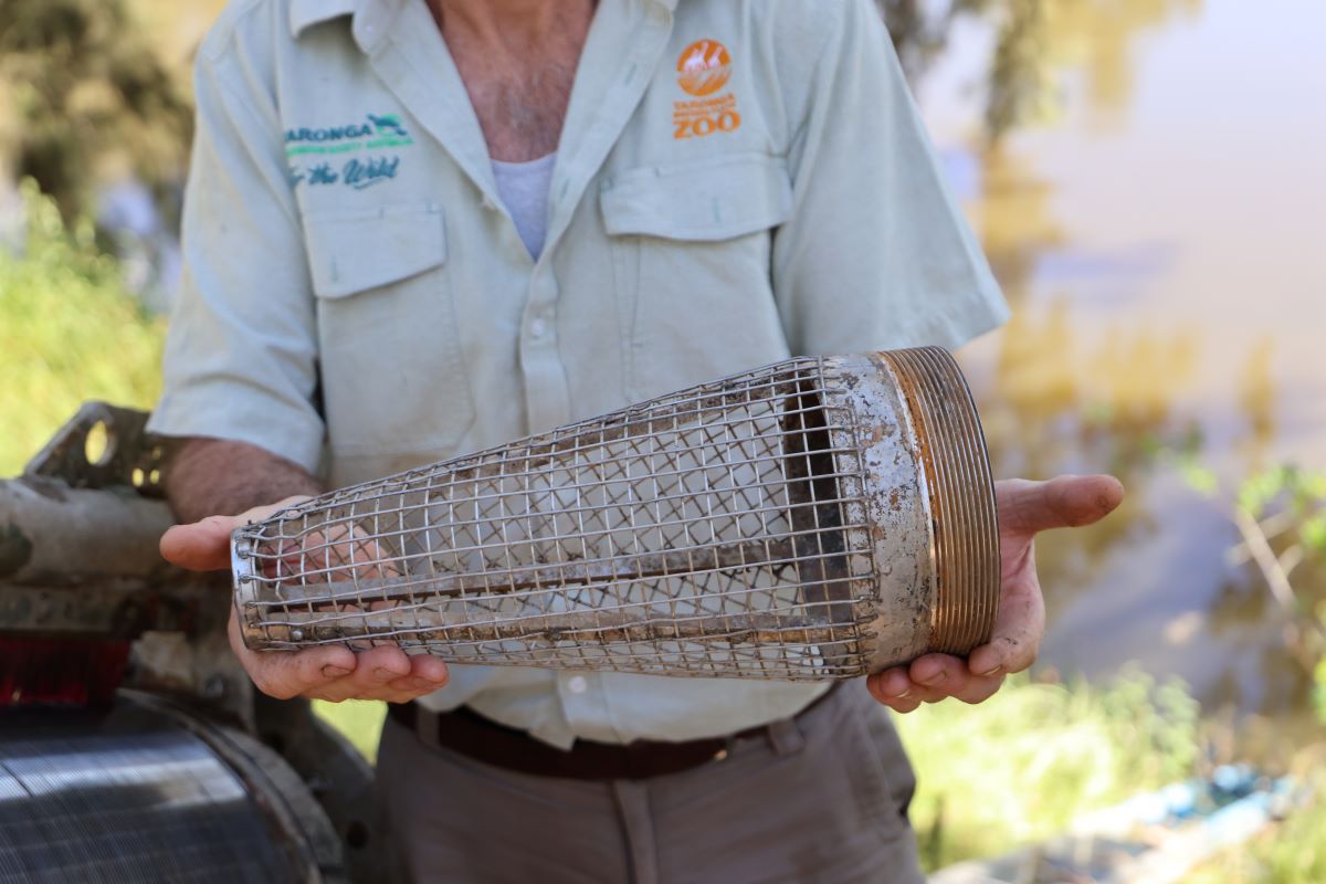 Stephen Thomson examines the previous previous 25 mm mesh cone filter, standing near the new fish screen.