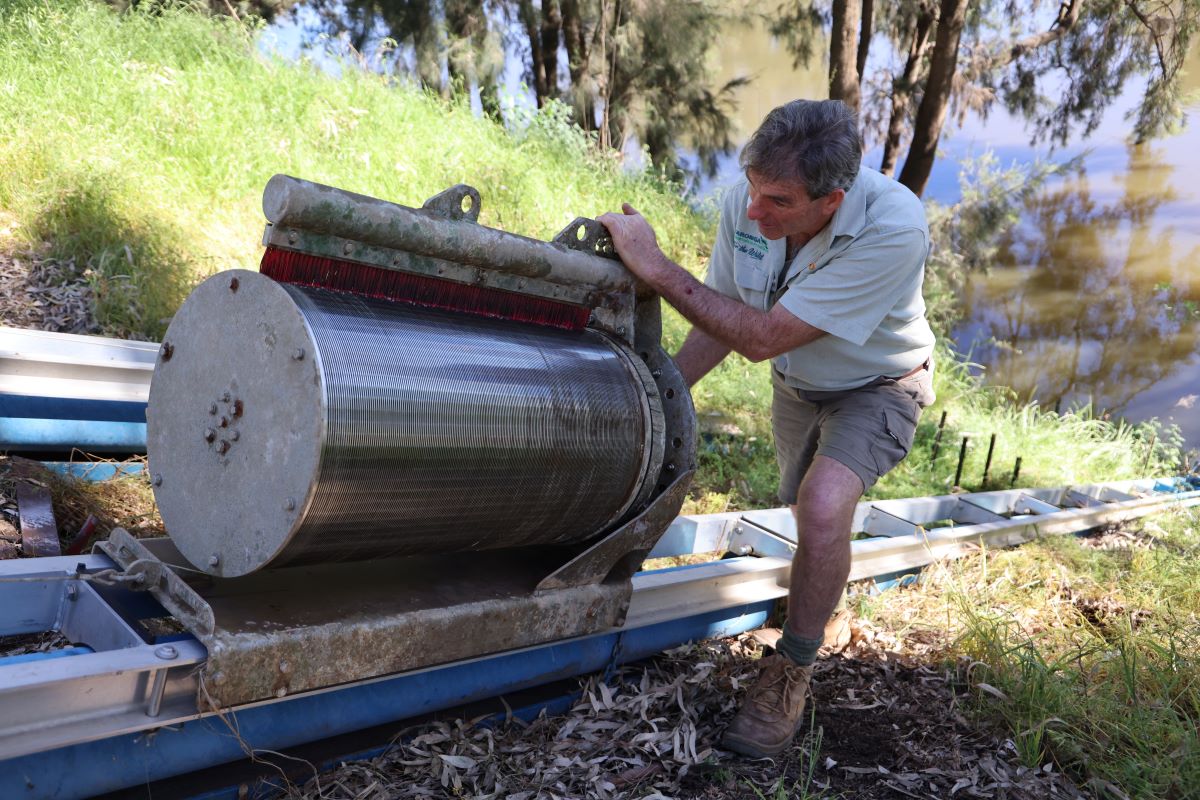 Demonstrating the Zoo’s new fish-friendly pump system in action.