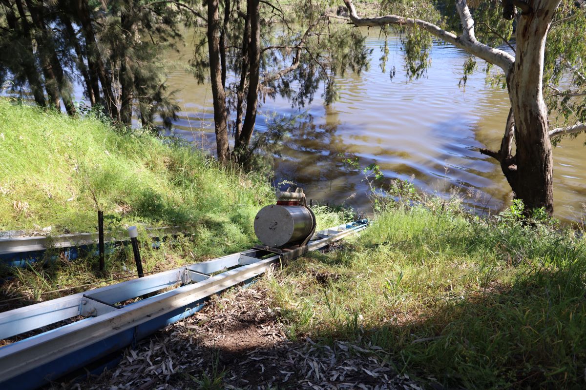 New fish screens protect native fish and improve water efficiency at Taronga Western Plains Zoo.