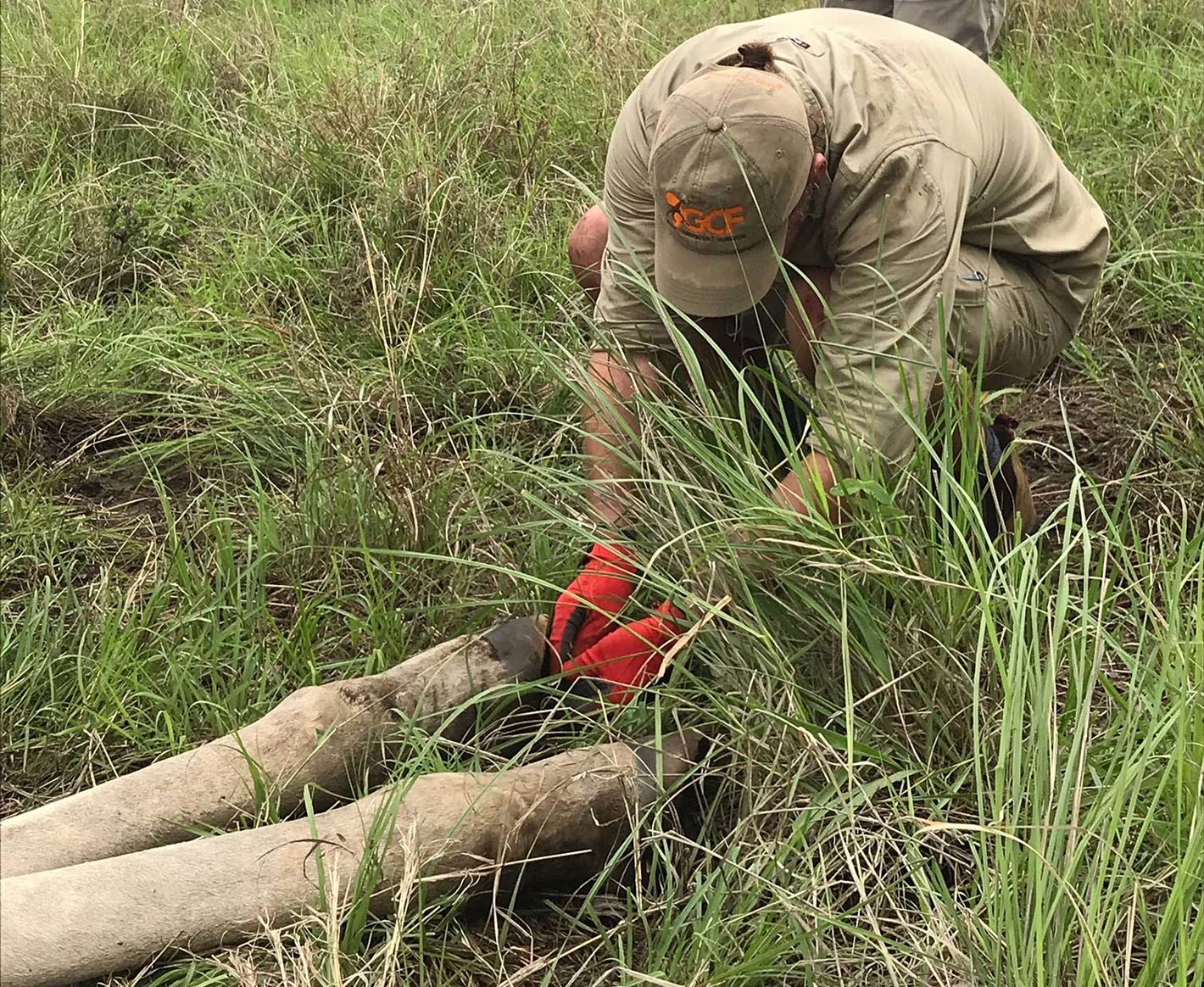 Keeper Lachlan in the field