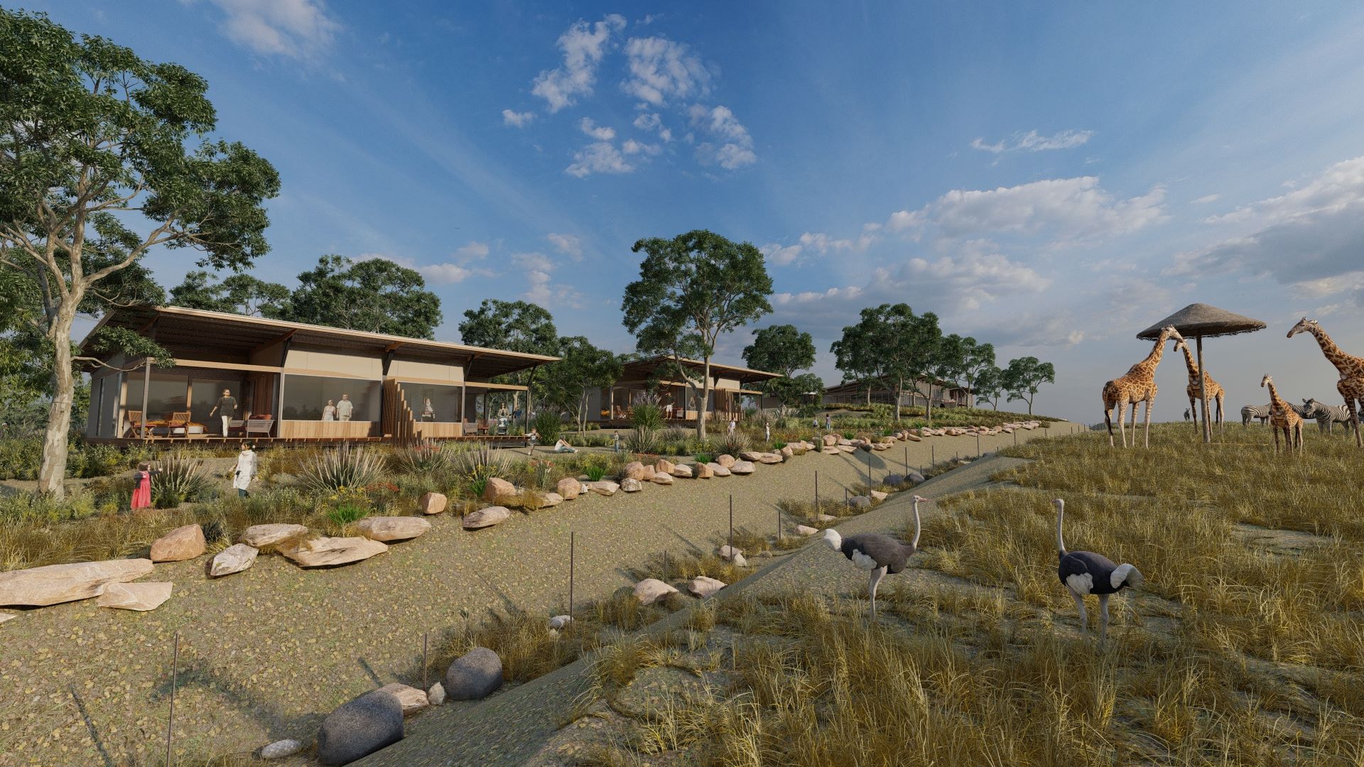 Serengeti Resort accommodation overlooking wildlife