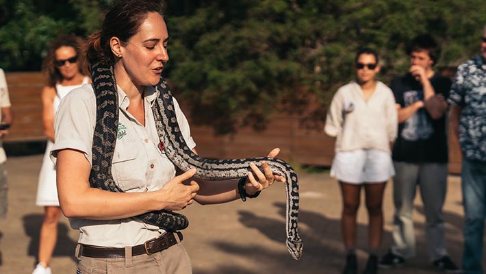 Experience animal encounters such as the diamond python