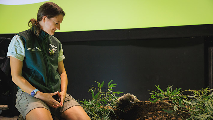 Keeper Liv with a Short-beaked Echidna