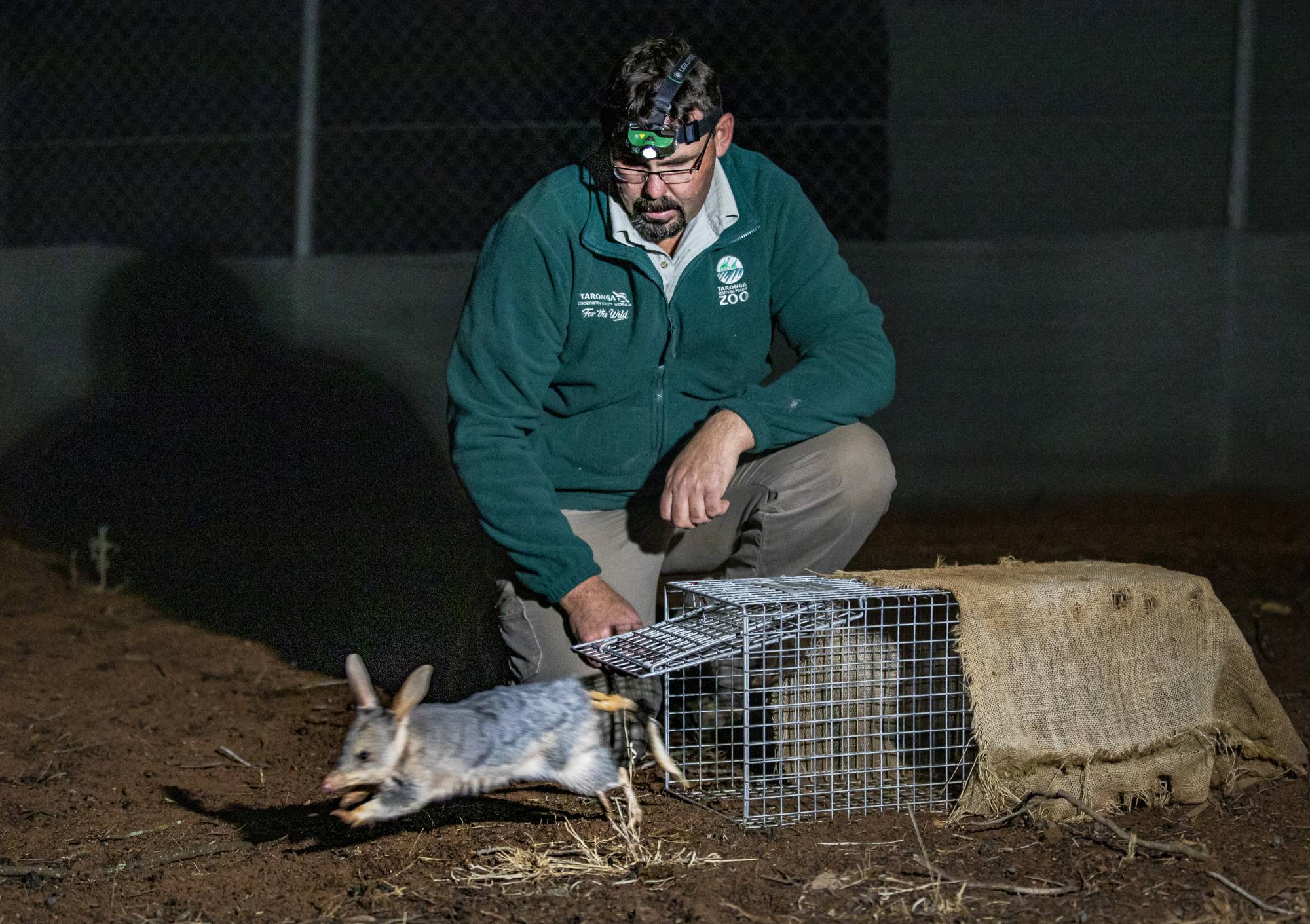 Keeper with Bilby
