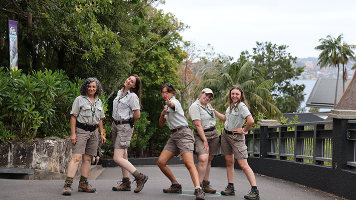 Taronga Zoo volunteers ready to welcome guests after hours
