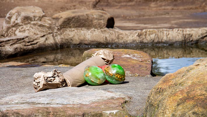 Ice-block enrichment for Asian Elephant 