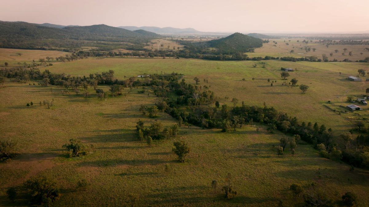 Habitat Positive site