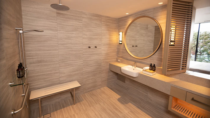 Accessible room - shower facilities