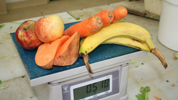 Food Preparation at Taronga