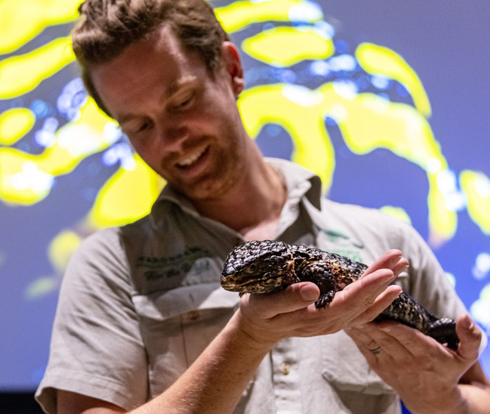 Reptiles Alive Show Taronga Conservation Society Australia