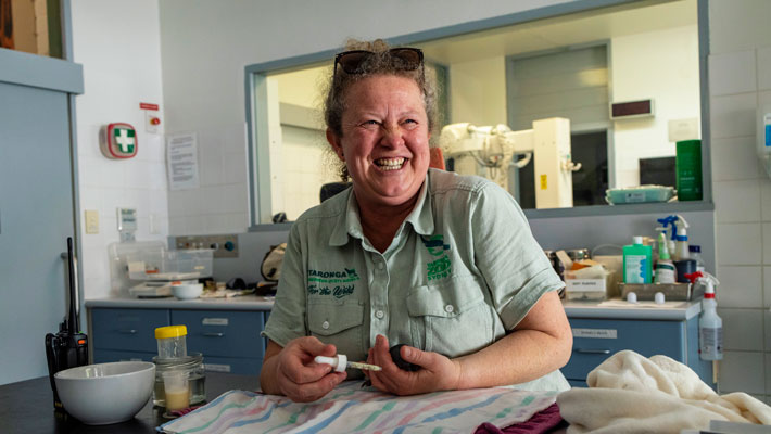 Smudge the Echidna Puggle being cared for by our Wildlife Hospital staff