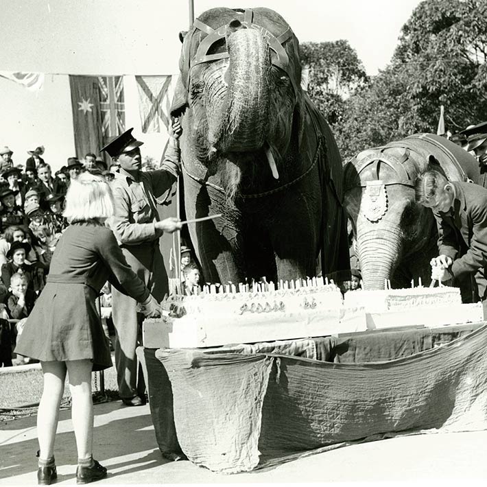 Keepers and guests celebrate Asian Elephant Jessie's birthday