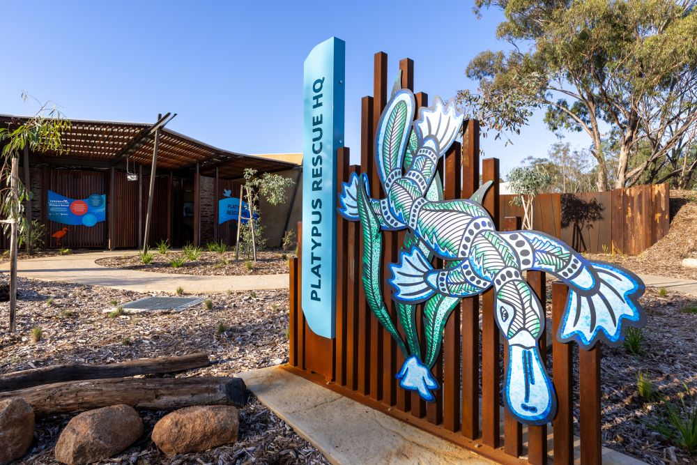 Platypus Rescue HQ