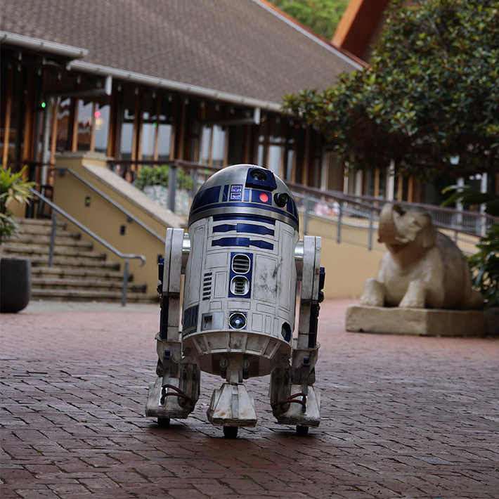 R2D2 was a highlight for many visitors!