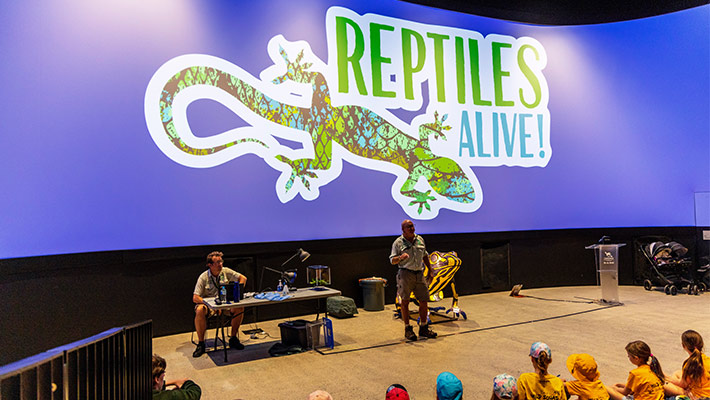 Reptiles Alive Show