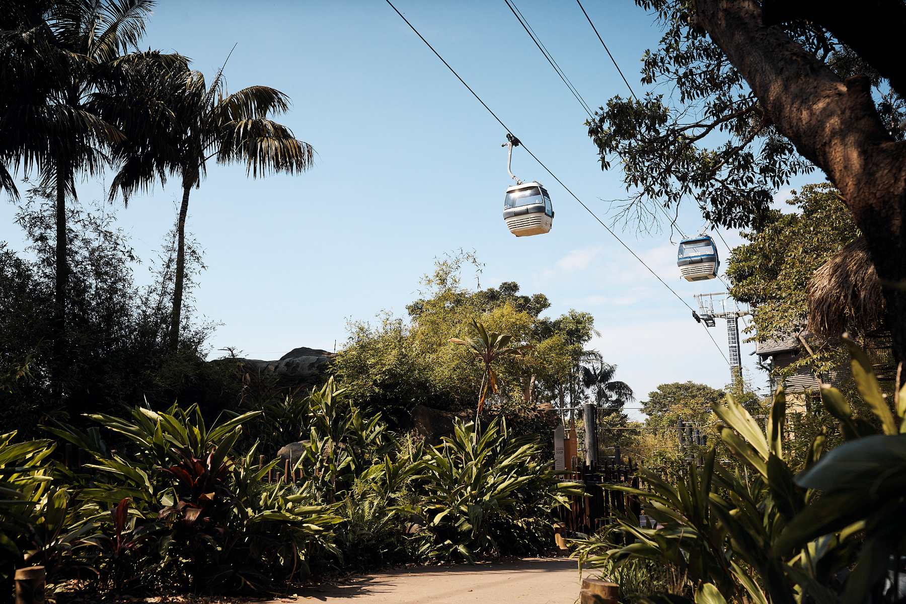 Sky Safari above exhibit