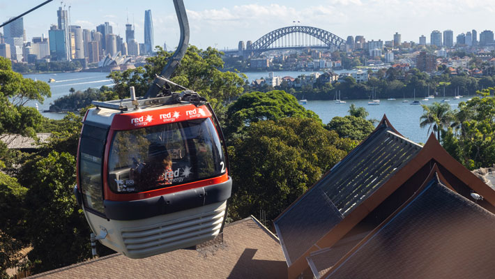 Sky Safari at Taronga Zoo Sydney