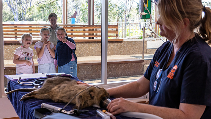 Guests enjoying Taronga Wildlife Hospital Dubbo