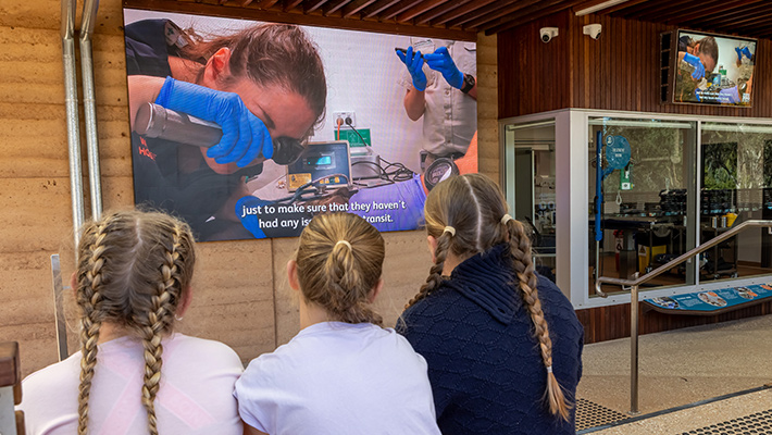 Guests enjoying Taronga Wildlife Hospital Dubbo